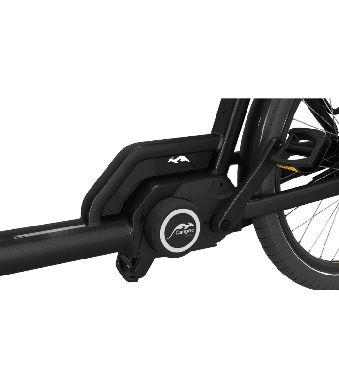 Cangoo Buckle Up Elektrische bakfiets met 3 wielen | Ananda middenmotor 250W | 13Ah 640Wh Accu met Hydraulische Remmen | 4 kinderzitplaatsen