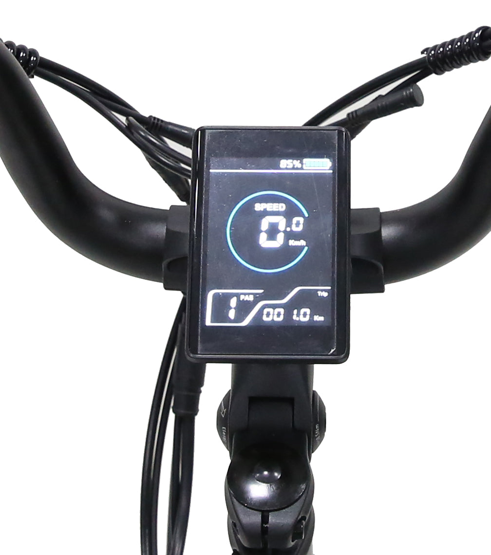 display Diablo XR1 Fatbike