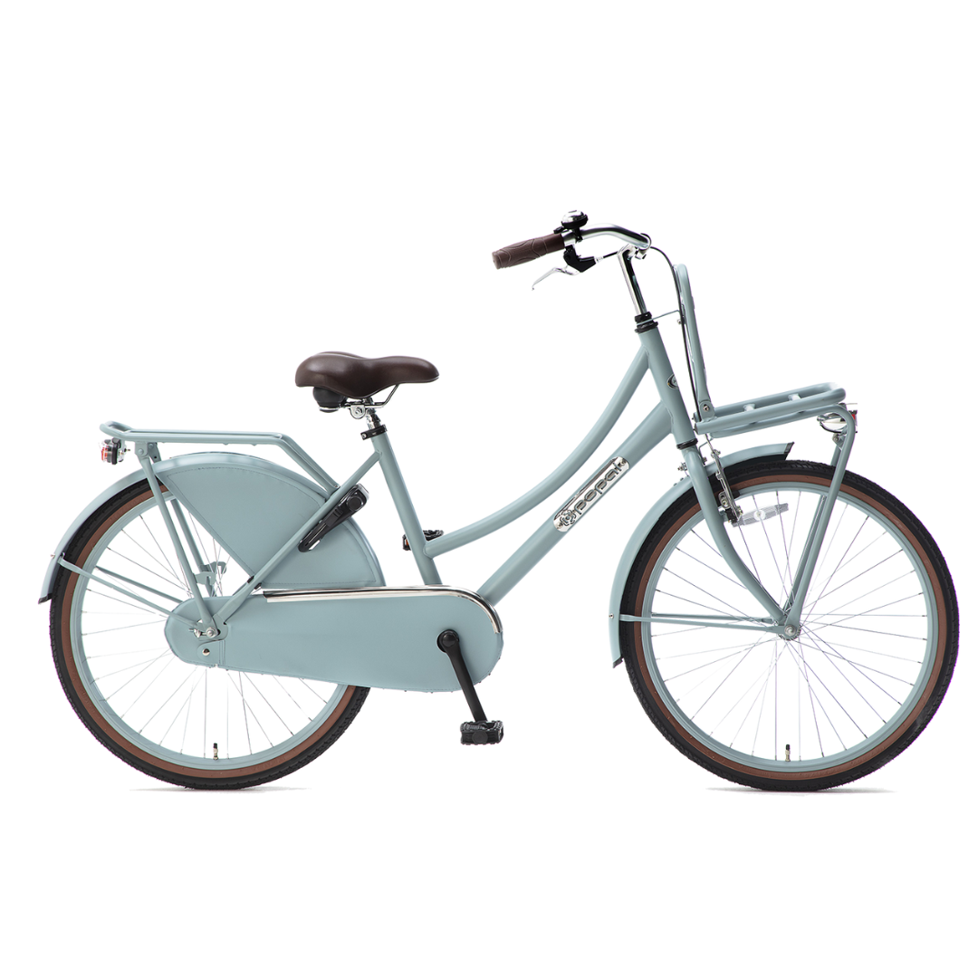 Popal Daily Dutch Basic 24 Meisjes fiets