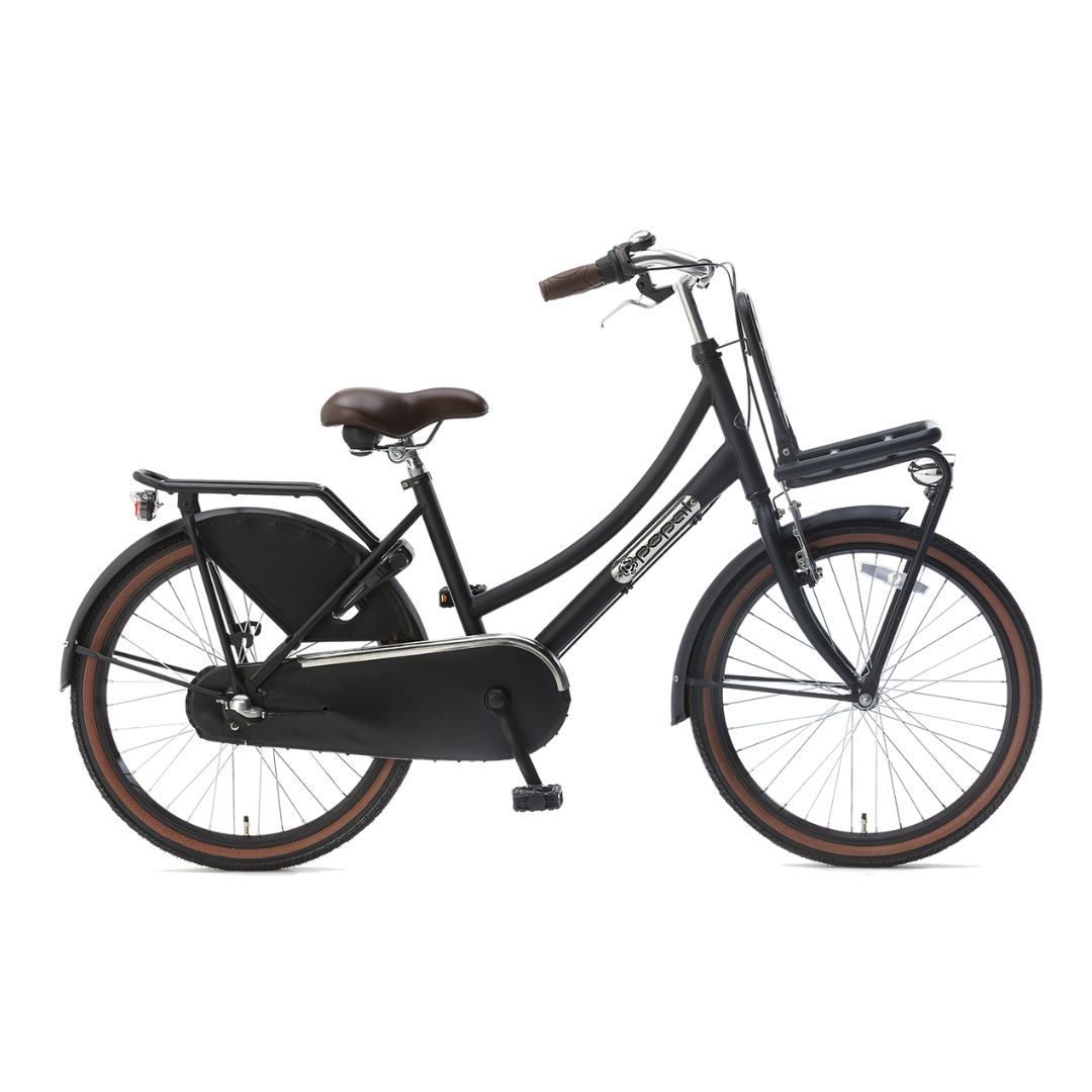 Popal Daily Dutch Basic+ 22 Meisjes fiets