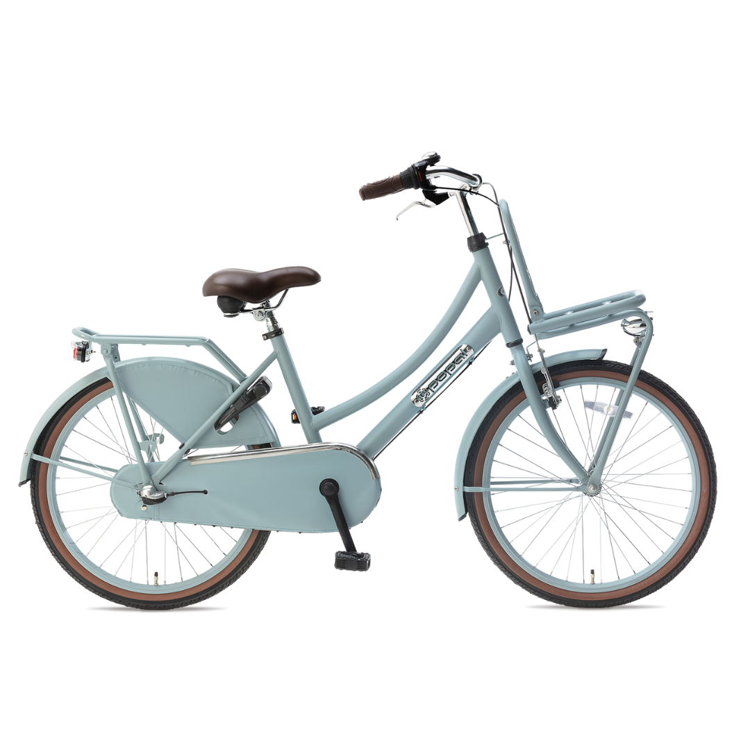 Popal Daily Dutch Basic+ 22 Meisjes fiets