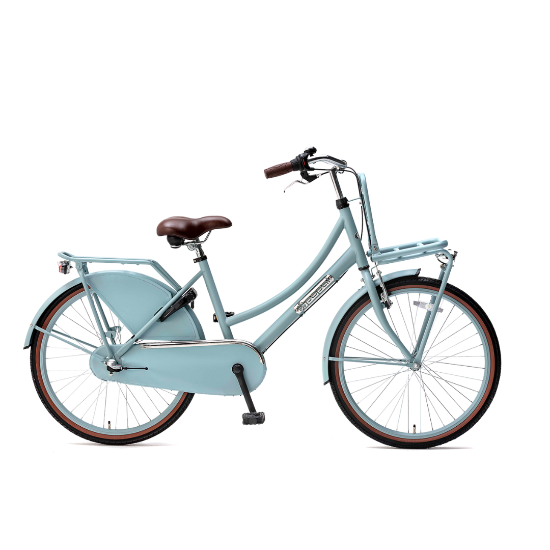 Popal Daily Dutch Basic+ 24 Meisjes fiets