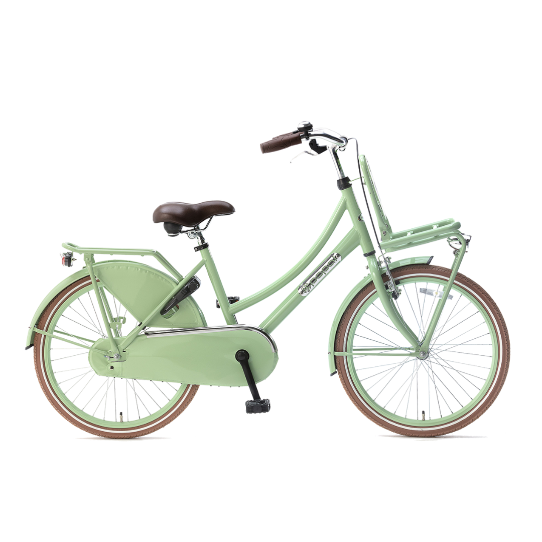 Popal Daily Dutch Basic 22 Meisjes fiets