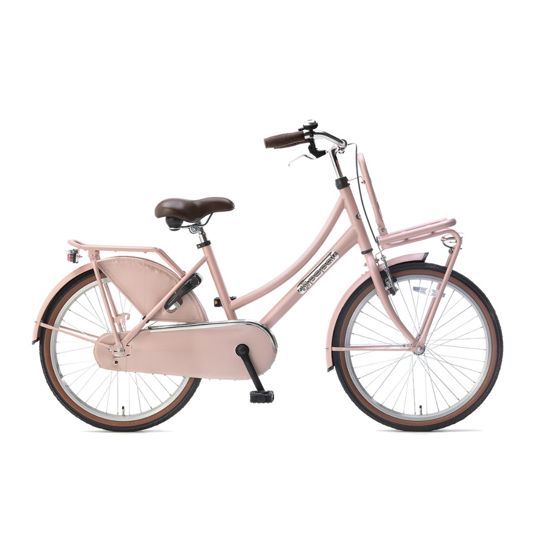 Popal Daily Dutch Basic 22 Meisjes fiets