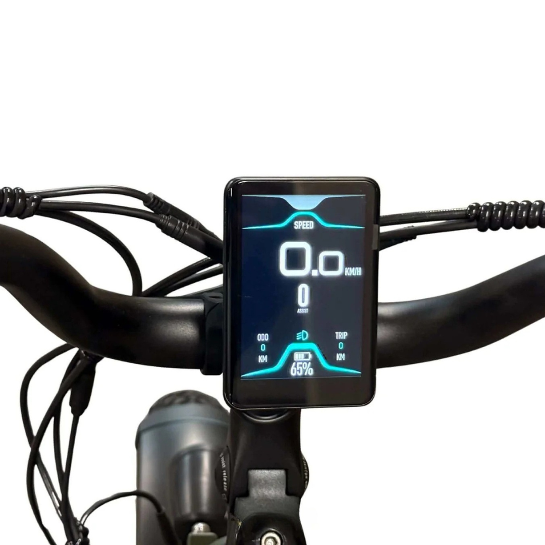 display Diablo XR2 Fatbike