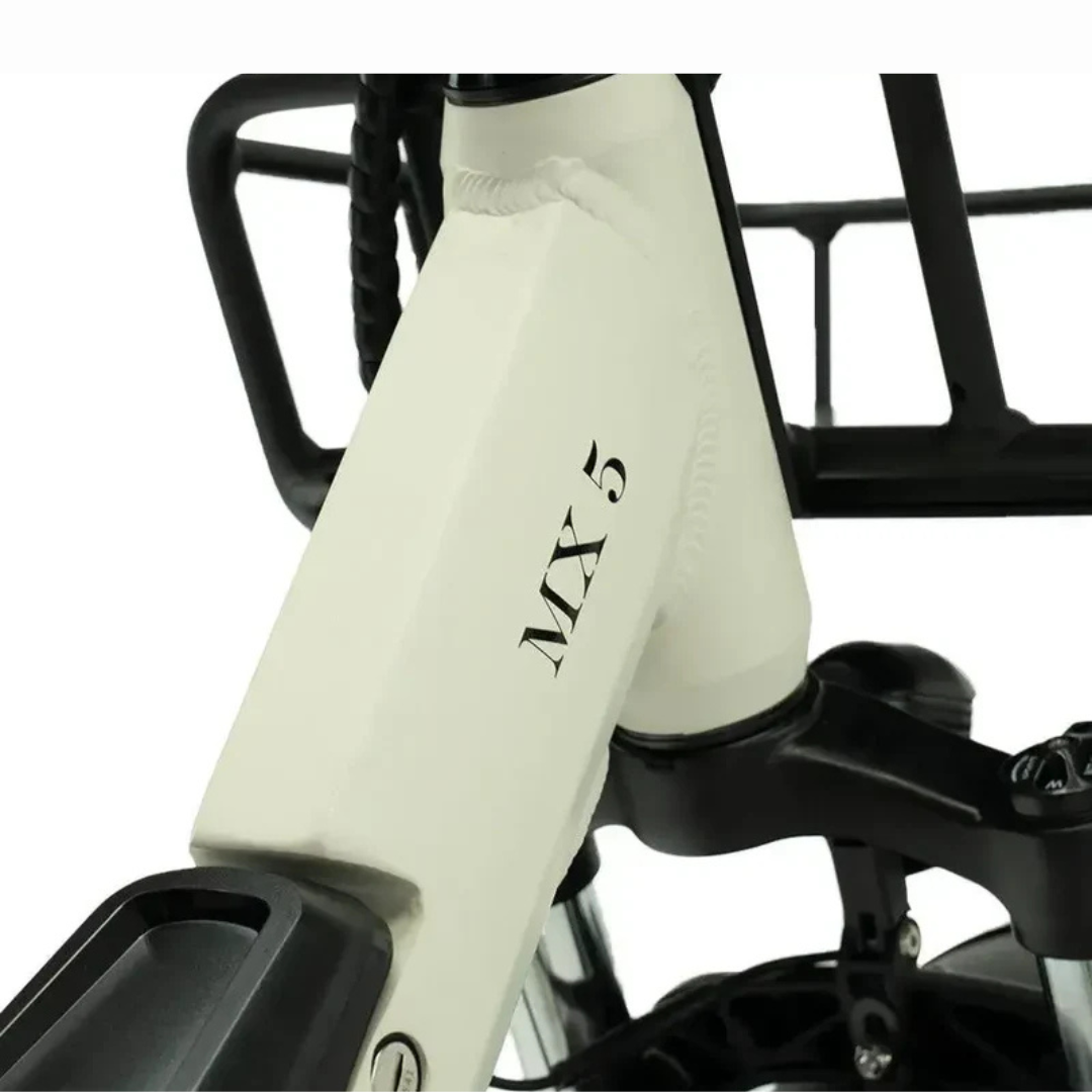 Diablo Big Foot Taupe Fatbike | Elektrische driewieler | Special Edition