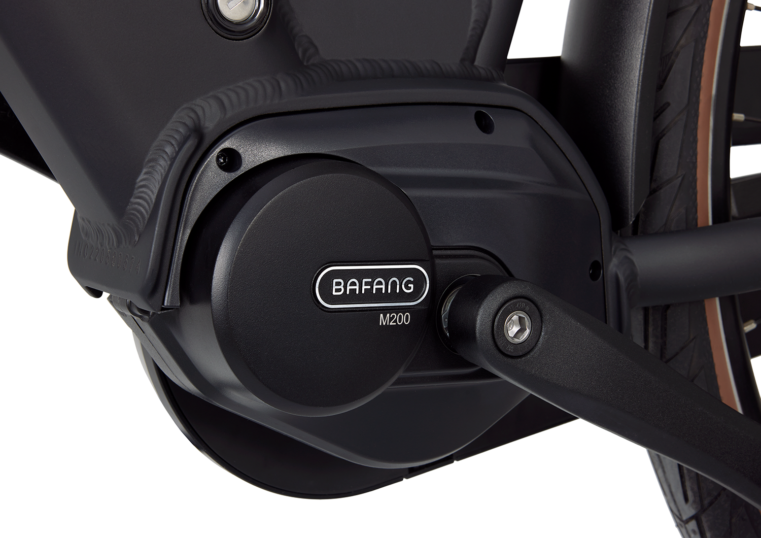 Popal Novel MM Dames