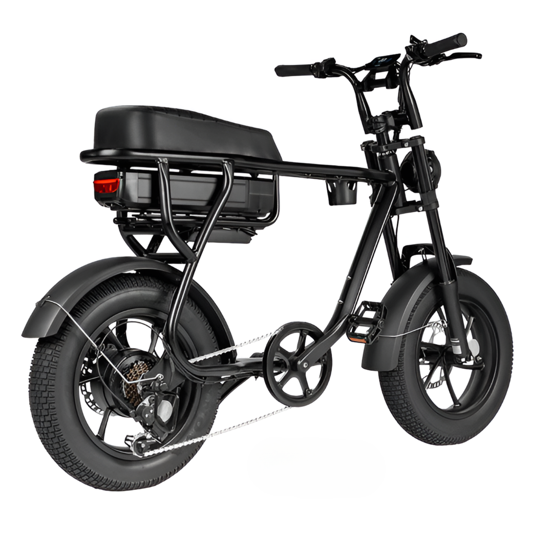 Fatbike Kids