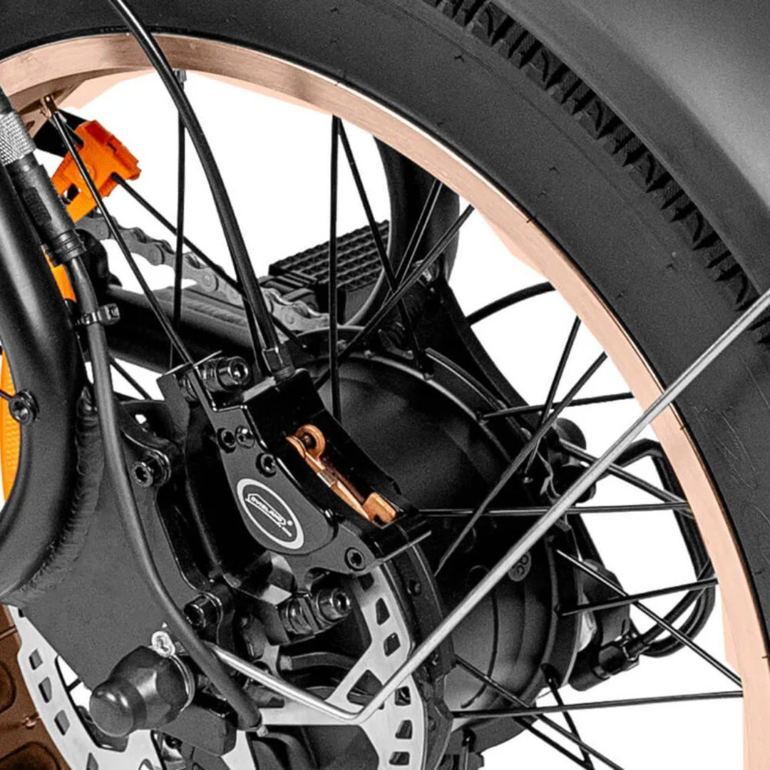 EB20 Zwart | Fatbike | Bekerhouder | 2025 edition | Combi-deal