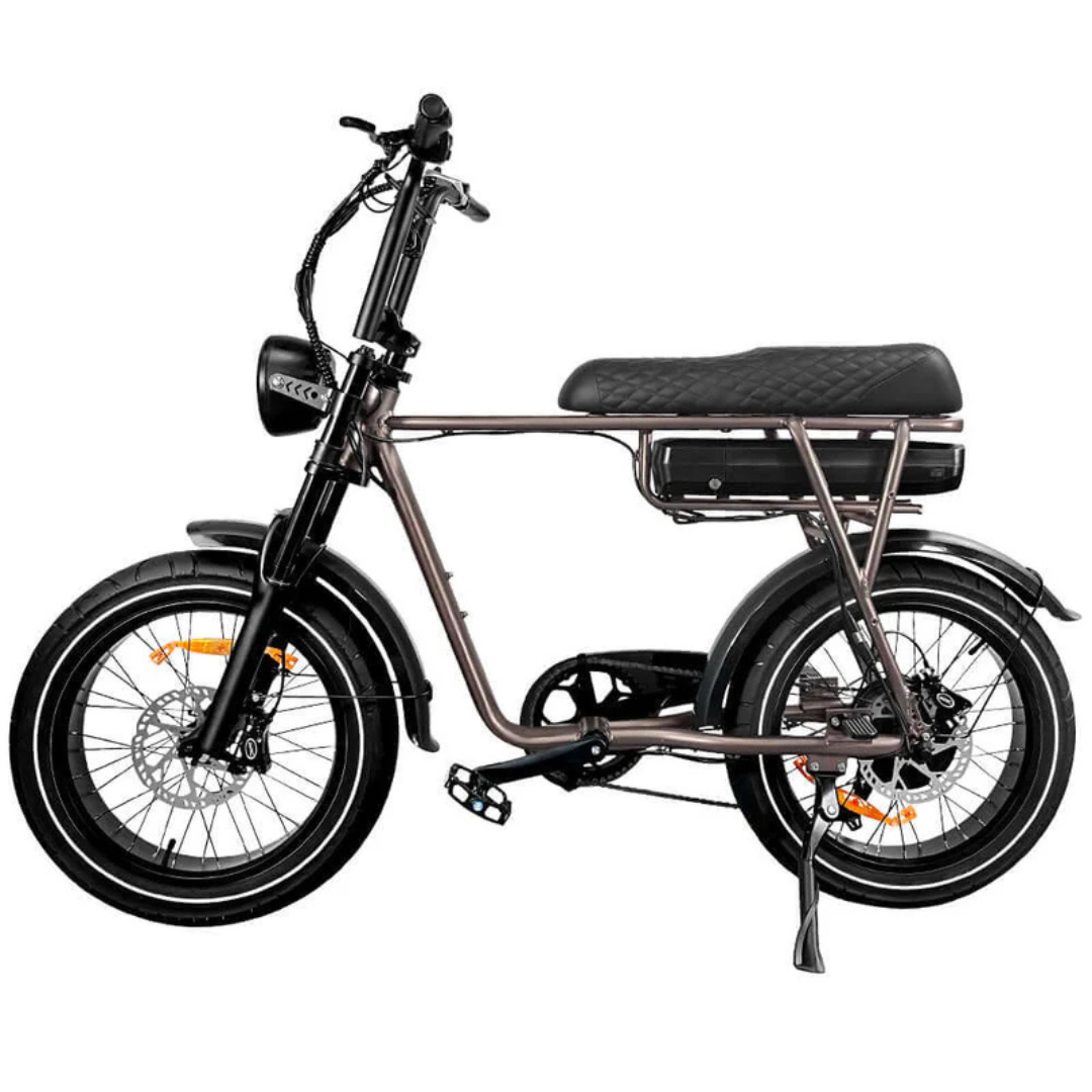 EB2 PRO Bruin