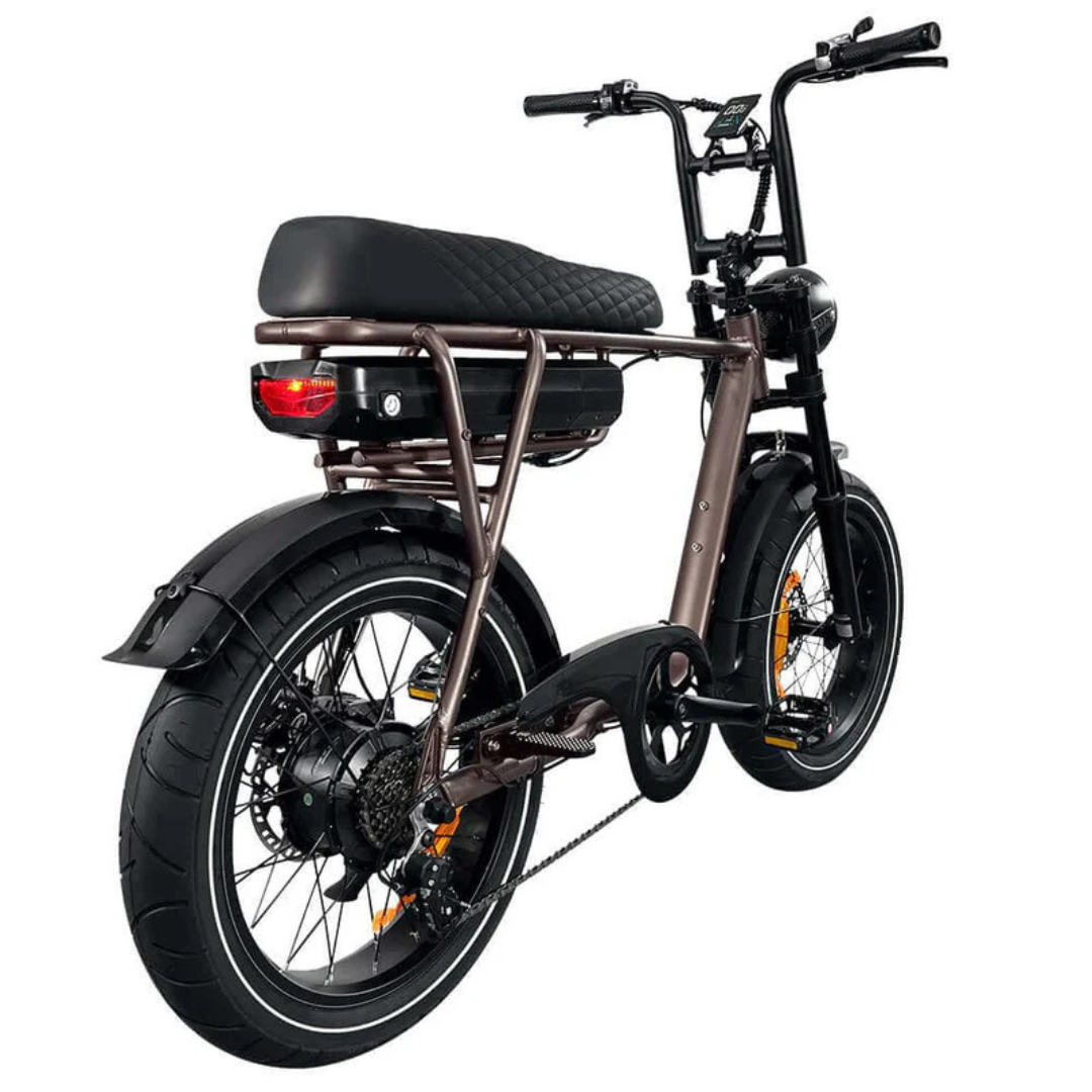 EB2 PRO Brown