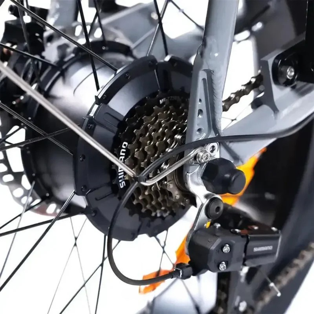 EB2 PRO Nardo Grey | Fatbike | 2025 edition | Combi-deal