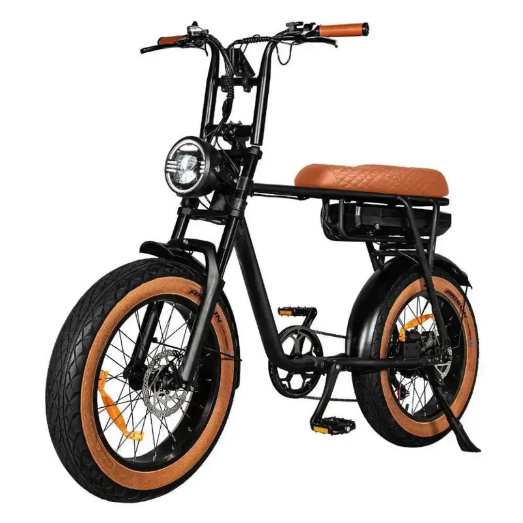 EB2 PRO Vintage | Fatbike | 2025 edition | Combi-deal