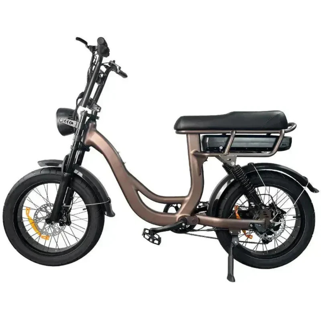 EB8 PRO Bruin
