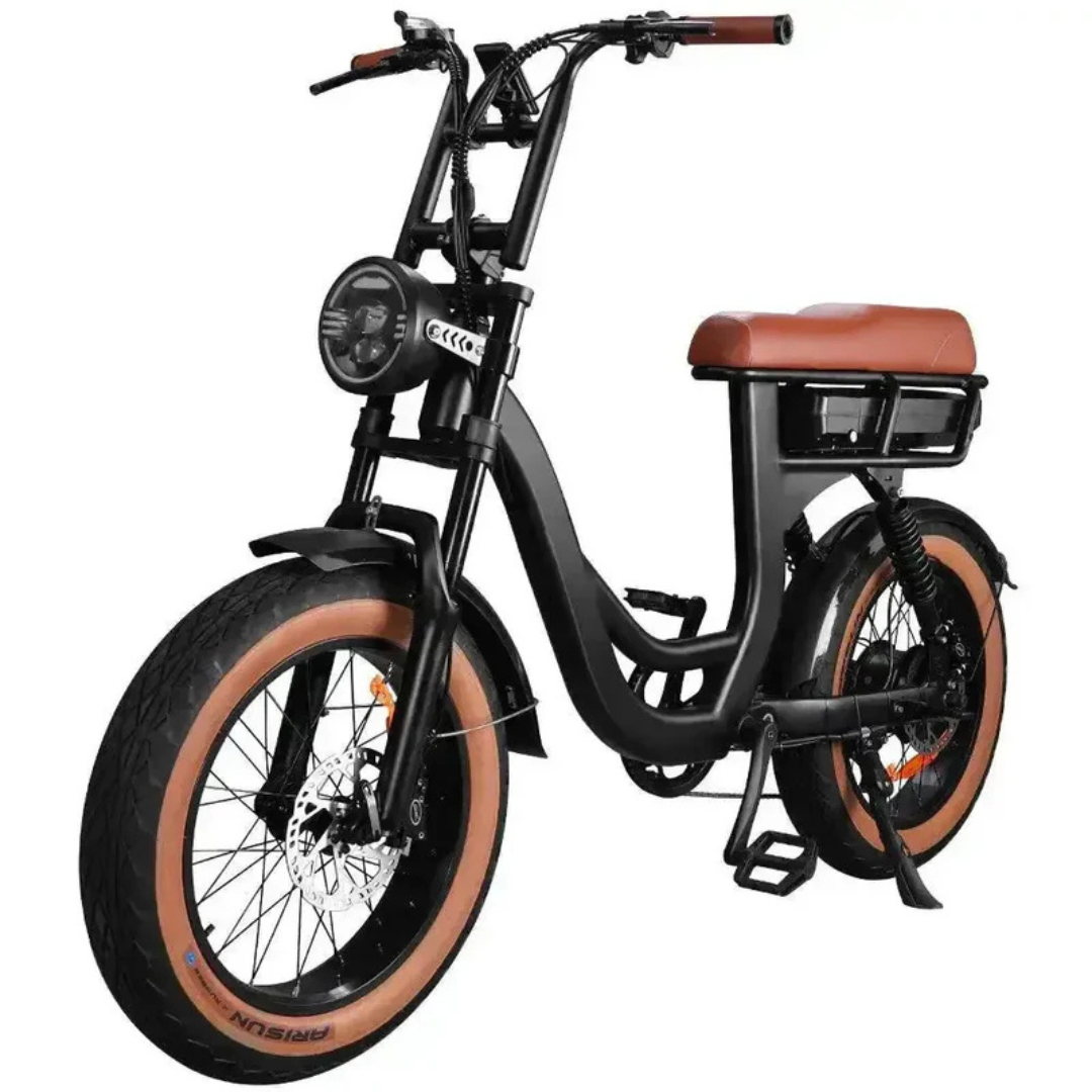 EB8 PRO Vintage | Fatbike | Lage instap | 2025 edition | Combi-deal