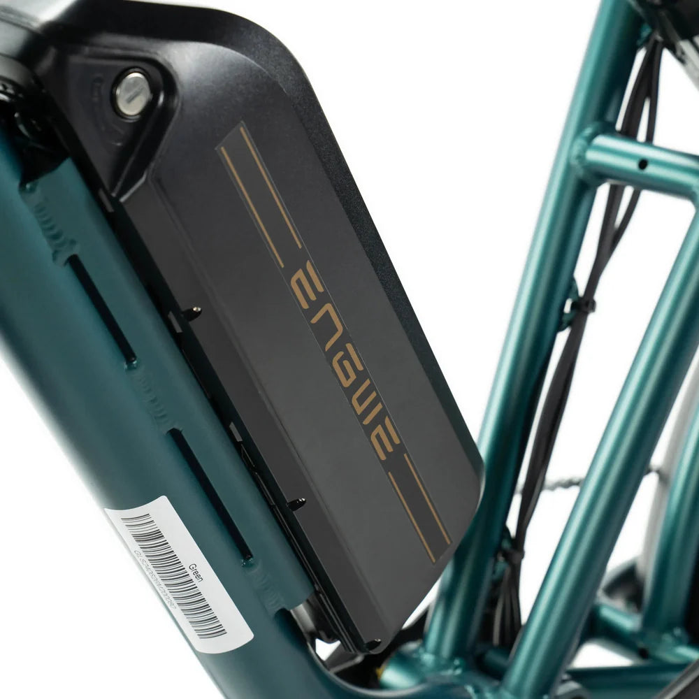 Engwe M20 Dubbele Accu detail groen