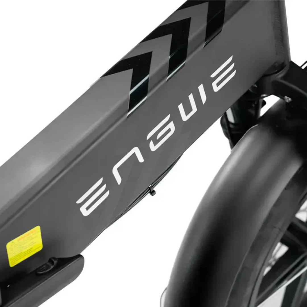 Engwe ENGINE PRO 2.0 | Vouw Fatbike | Zwart