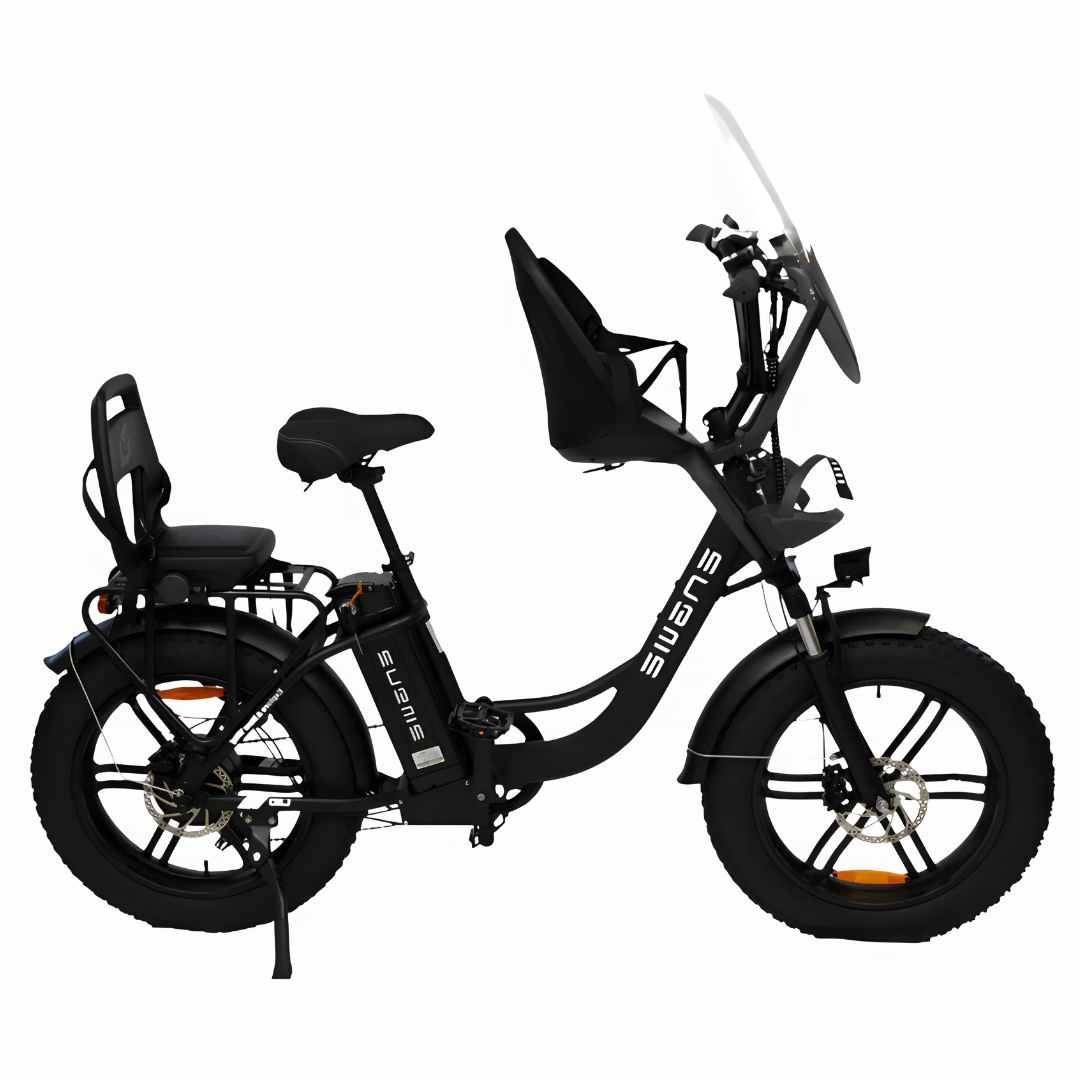 Engwe L20 Pro Family Fatbike Onyx black