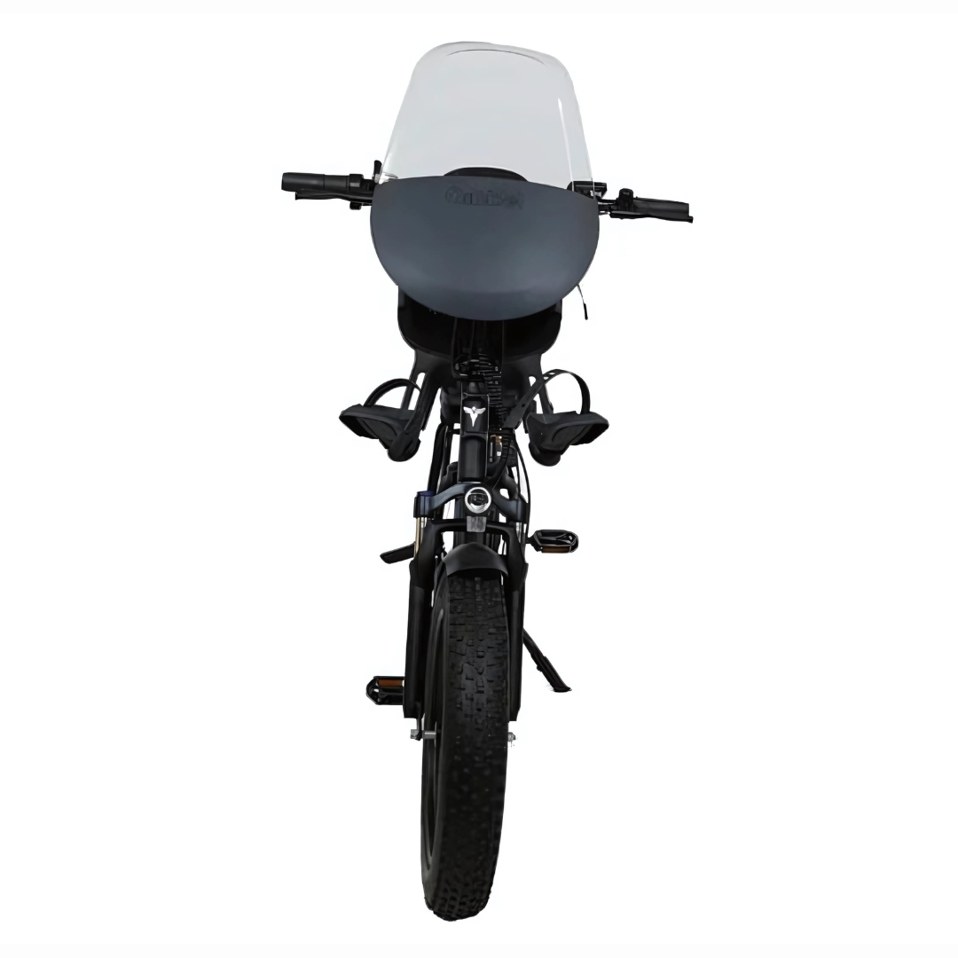 Engwe L20 Pro Family Fatbike Black