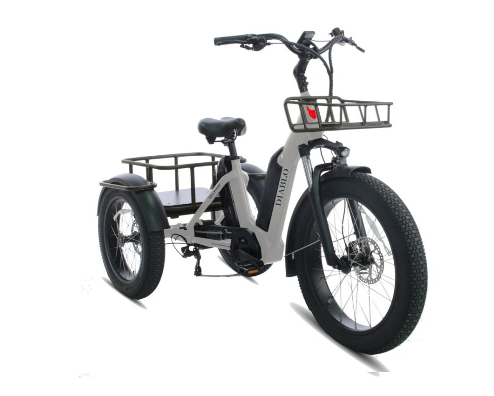 Driewieler taupe fatbike