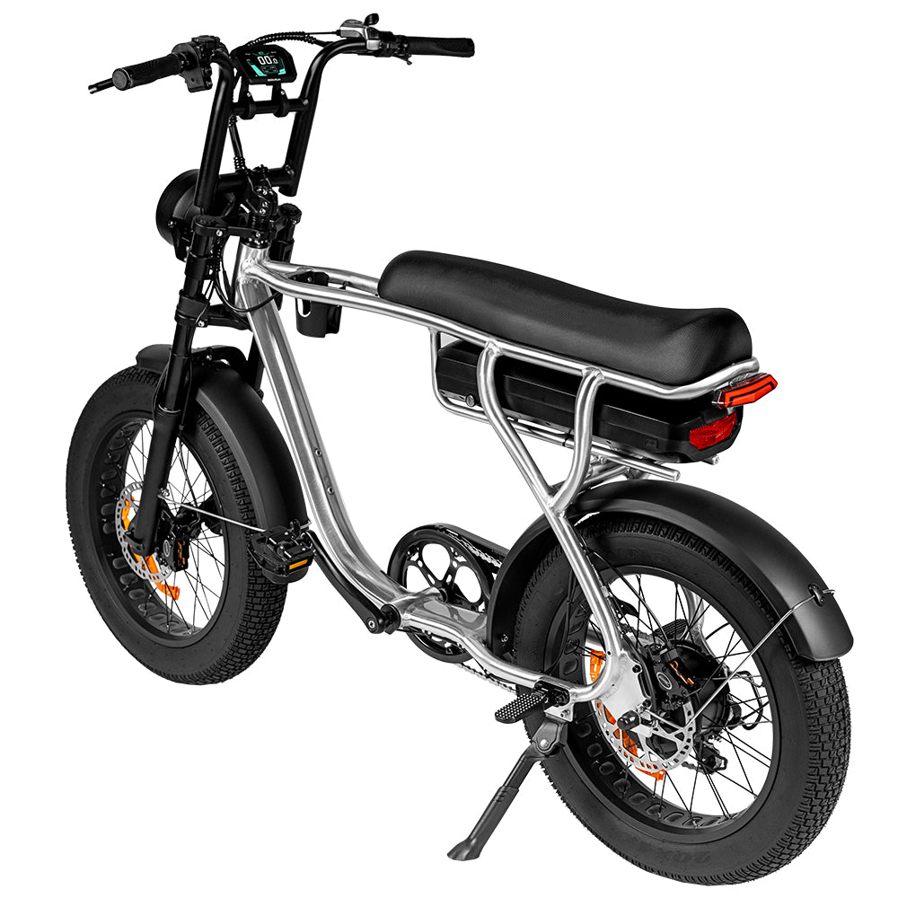 EB20 Zilver Fatbike