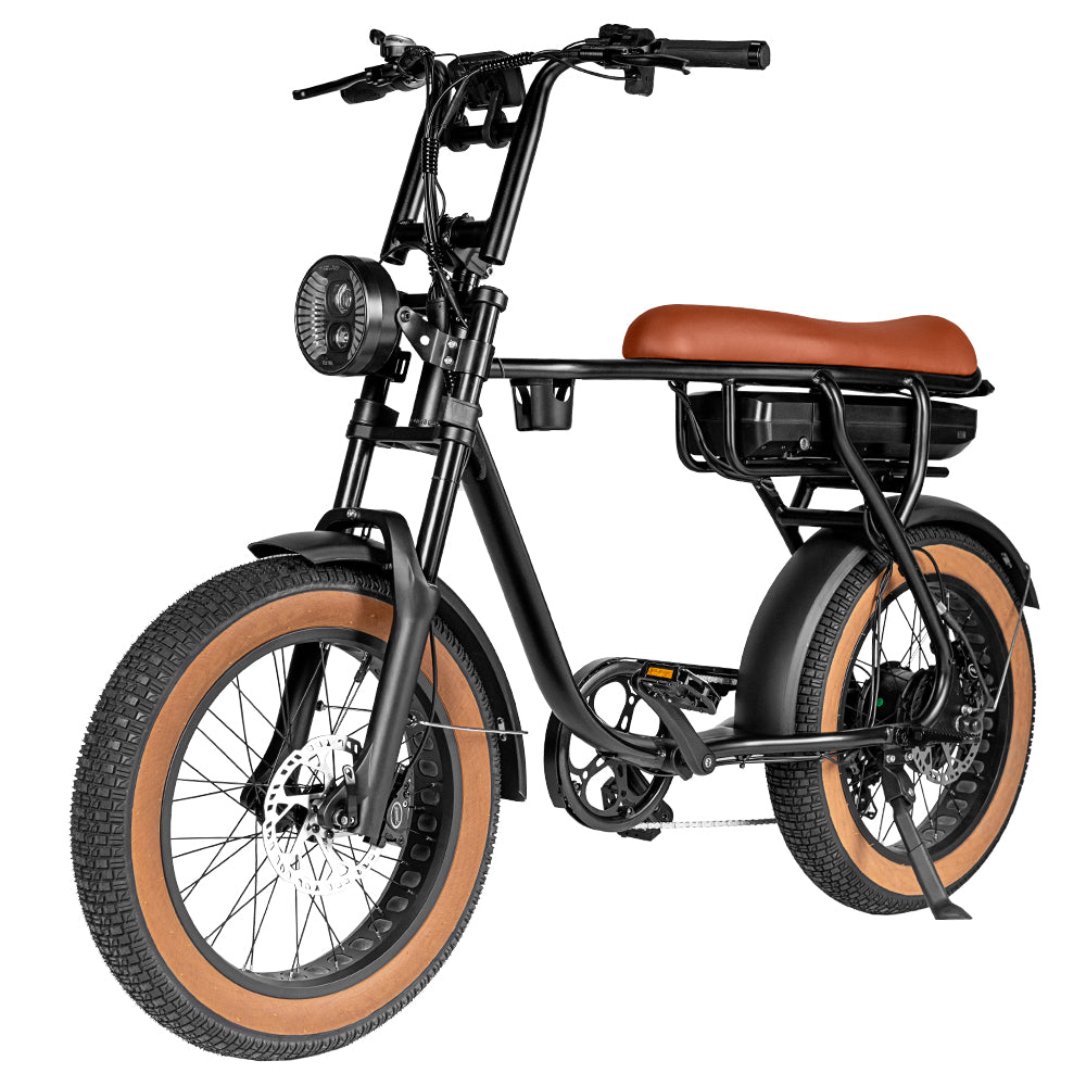 EB20 Vintage | Fatbike | Bekerhouder | 2025 edition | Combi-deal