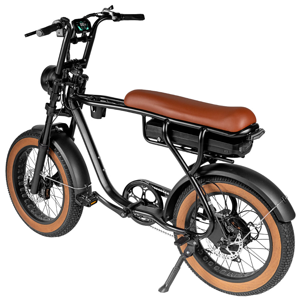 EB20 Vintage | Fatbike | Bekerhouder | 2025 edition | Combi-deal