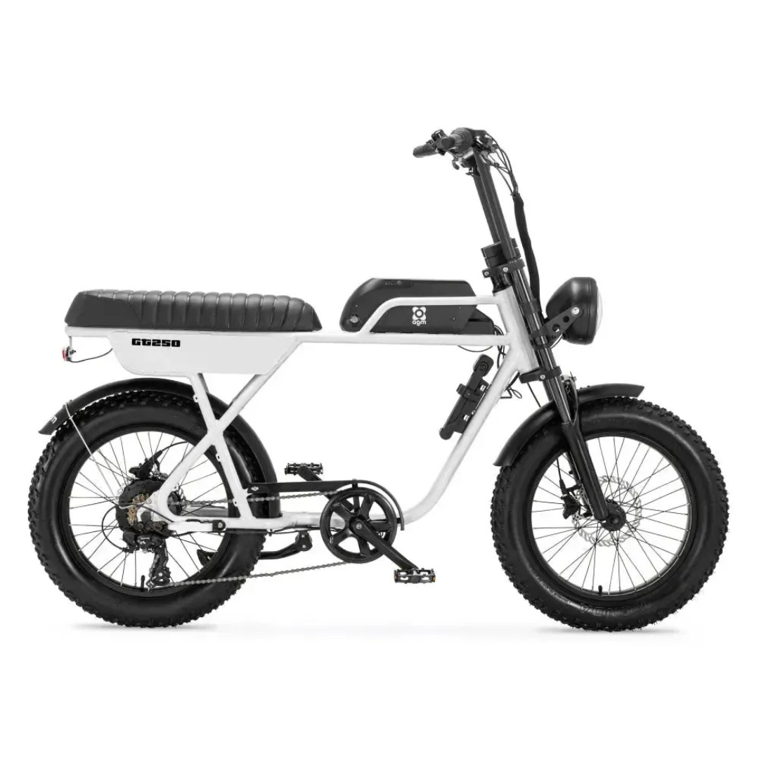 AGM GT250 