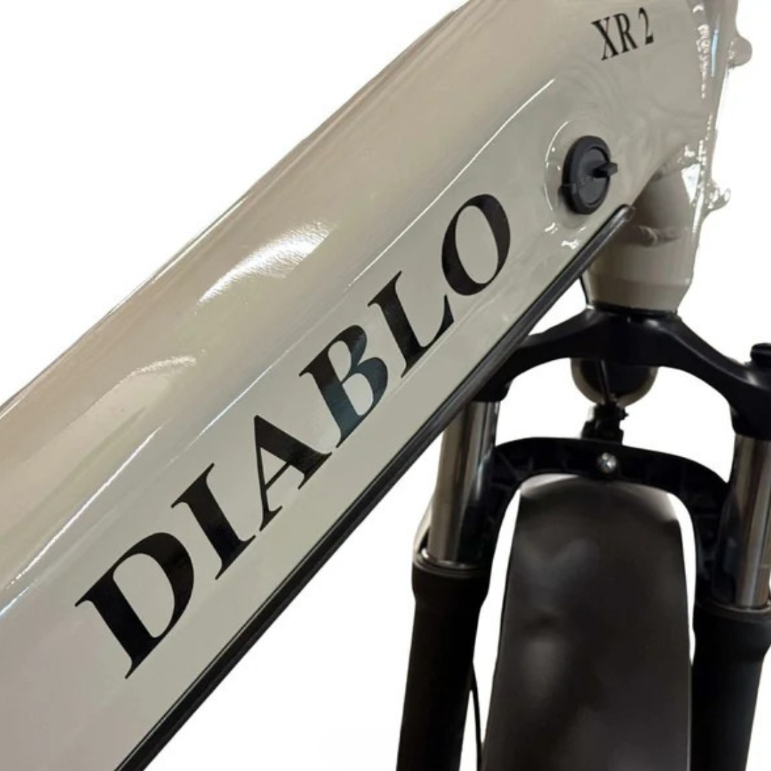 Diablo XR2 Taupe detail