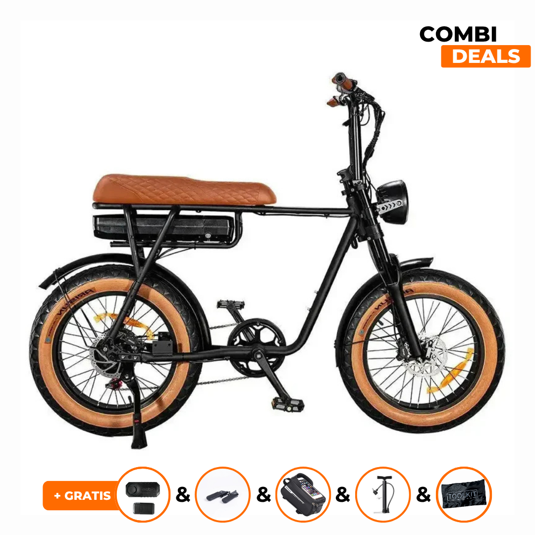 EB2 PRO Vintage | Fatbike | 2025 edition | Combi-deal
