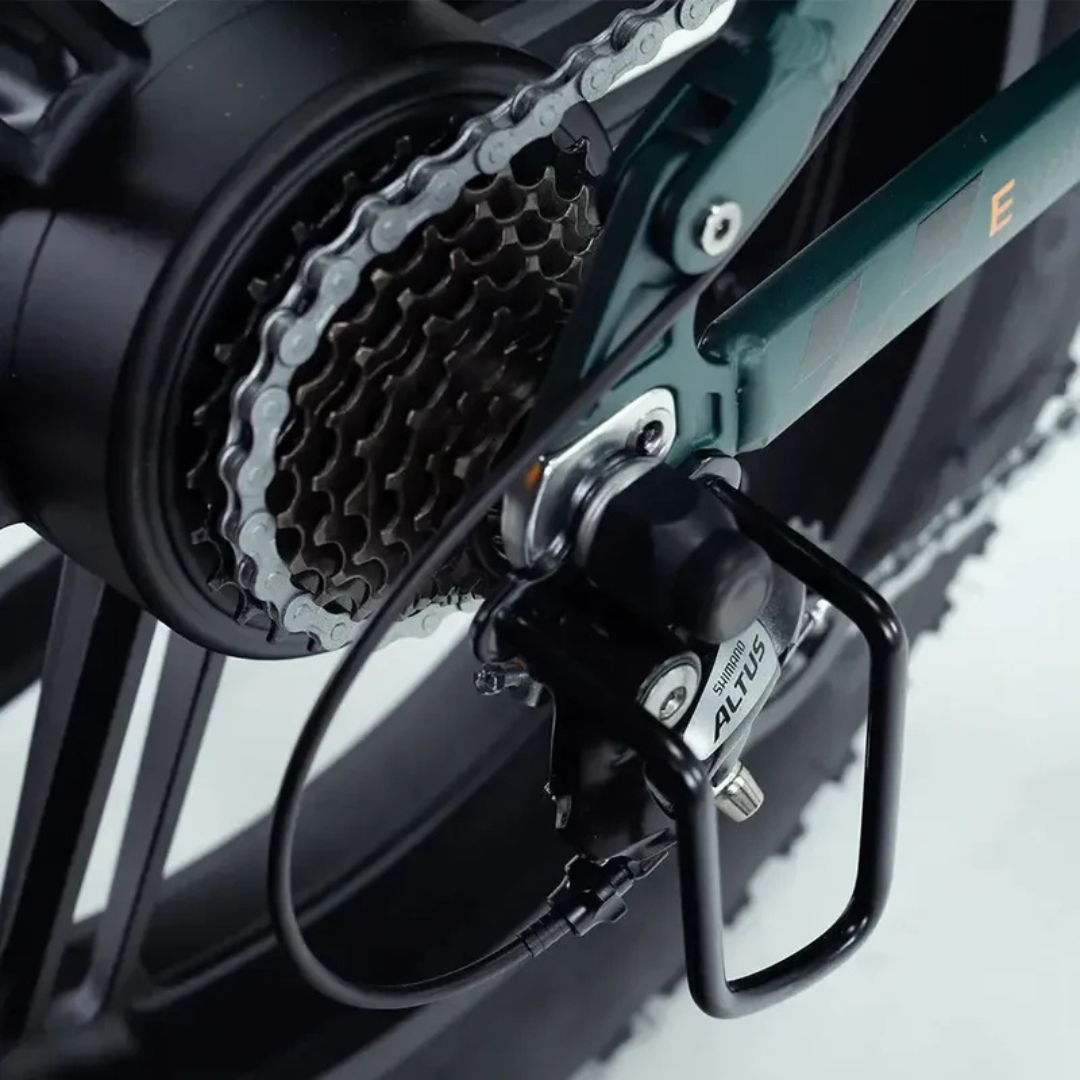 Engwe ENGINE PRO 2.0 | Vouw Fatbike | Groen