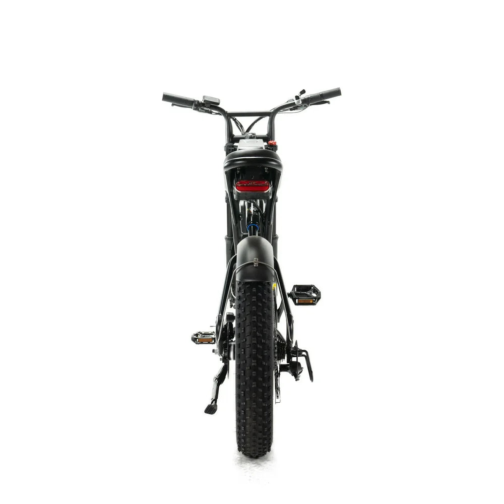 Engwe M20 Zwart | Dubbele Accu | 26Ah accu | tot 150KM