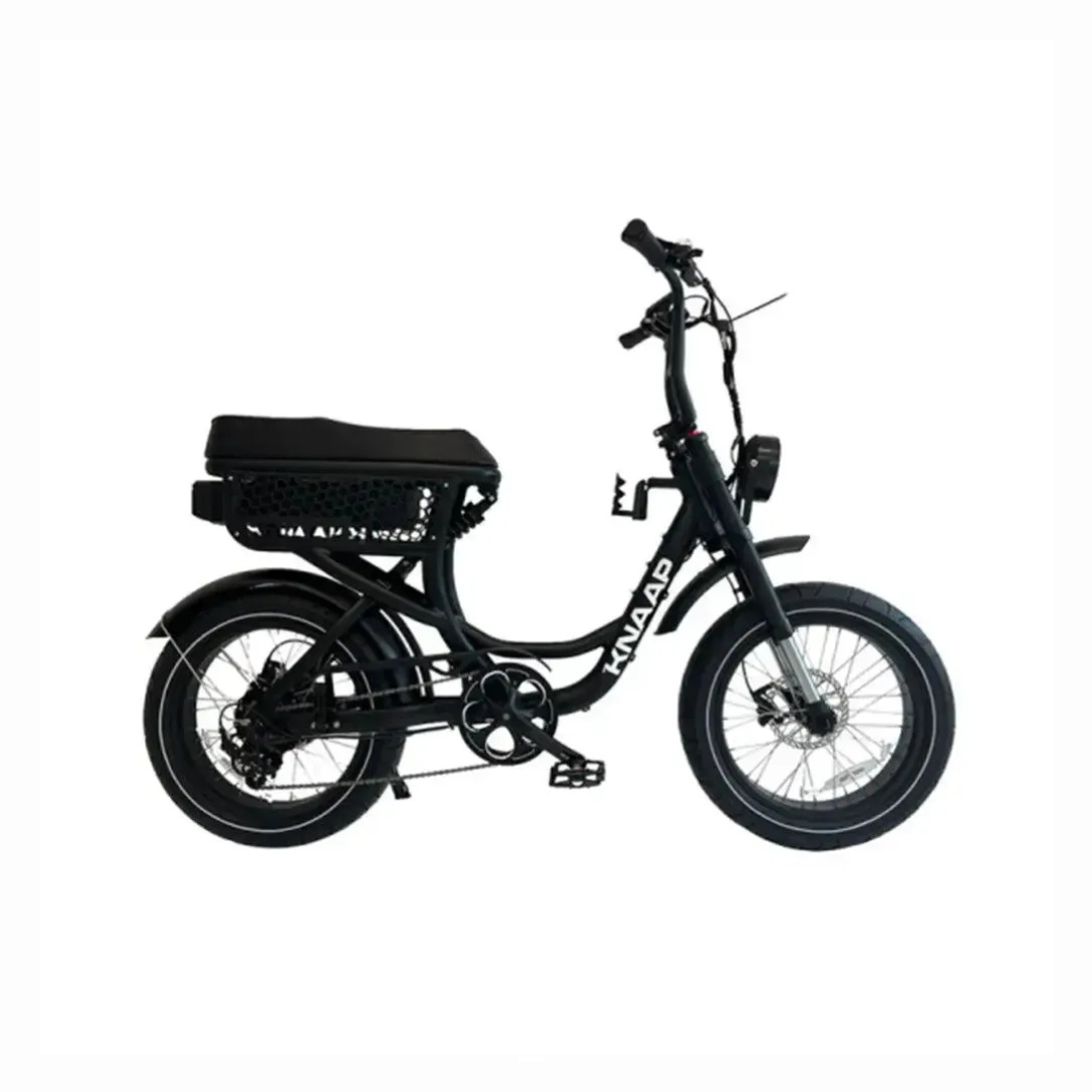 KNAAP LON damesmodel – elektrische fatbike met lage instap