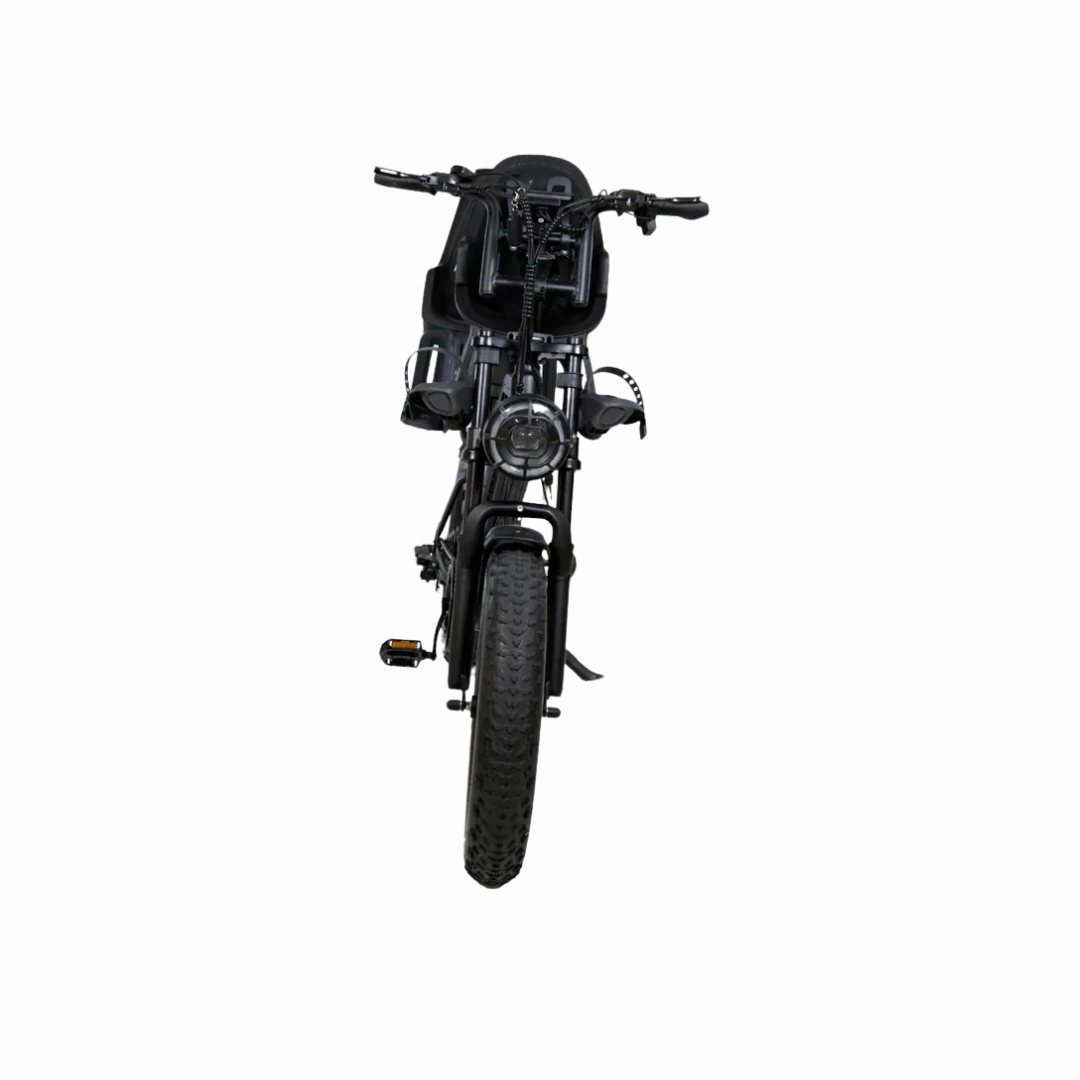 Combi Deal | QM V20 Family Fatbike 2025