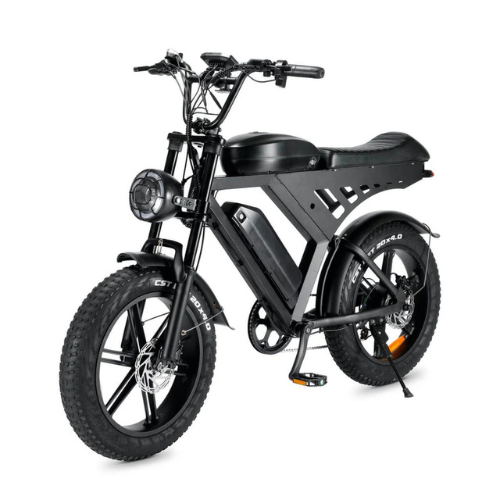 QM Wheel fatbike dubbel accu combideal