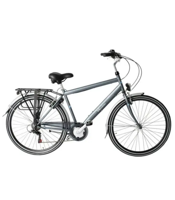 Wheelerz Herenfiets met 6 versnellingen (28 inch)